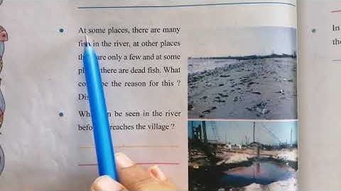 Standard IV /Environment /Looking Around /NCERT