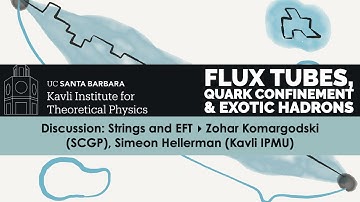 #FLUXTUBE-C22 Discussion: Strings and EFT ▸ Zohar Komargodski (SCGP), Simeon Hellerman (Kavli IPMU)