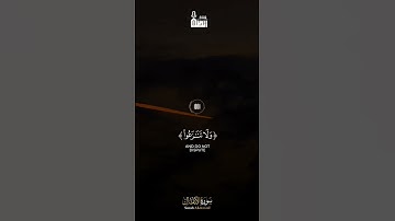 - تلاوة شجية للشيخ يوسف الصقير من سورة الأنفال ﴿ يا أيها الذين آمنوا إذا لقيتم فئة فاثبتوا ﴾ 🌹