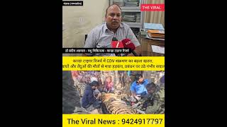 द वायरल। कान्हा पर मंडराया CDV का खतरा, बाघों-तेंदुओं की मौतों से मचा हड़कंप