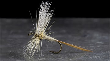 Grey Fox - Catskill Dry Fly Tying