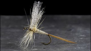 Grey Fox - Catskill Dry Fly Tying