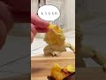 トカゲに焼き芋あげたら犬に横取りされてキレた🍠#shorts