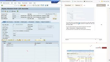 21 SD Step 17 Review Document Flow