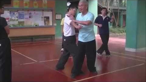 八步螳螂拳(8-Step Praying Mantis)上門一點斜分盤肘蹬蹋