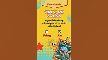 🎬 Cá vàng chỉ có trí nhớ 3 giây?#kienthuc #suthatthuvi