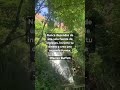 Esta es la señal que esperabas para empezar a invertir #motivacional #dinero ✨