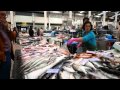 Marché traditionnel de poissons à Setùbal, Portugal