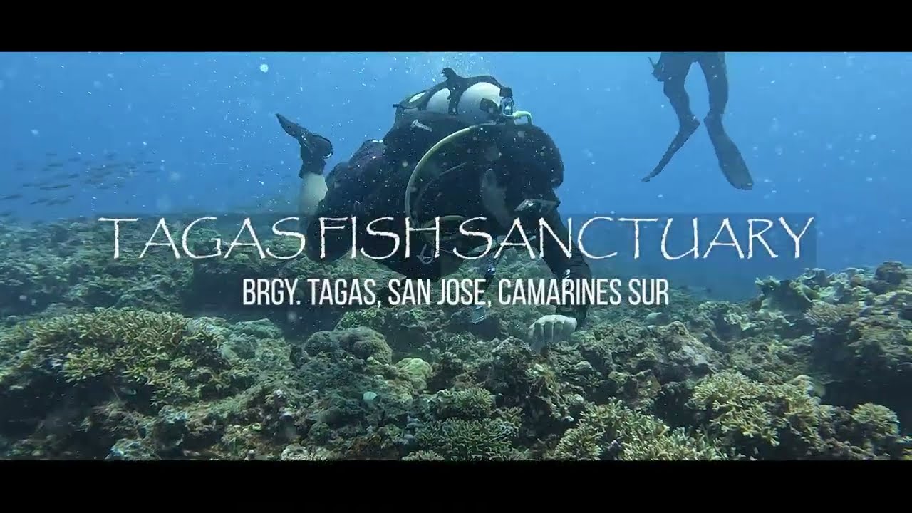 ANNUAL BIOPHYSICAL ASSESSMENT KAN TAGAS REEF FISH SANCTUARY AND MARINE RESERVE