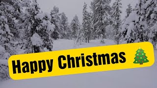 Seasons Greetings and 2021, a year in Lapland