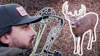 I BLEW My Chance IOWA BOWHUNTING by Chris Bee 60,852 views 5 months ago 11 minutes, 9 seconds