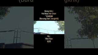 Fei Niao He Chan 飞鸟和蝉 (Burung Dan Jangkrik) #shorts