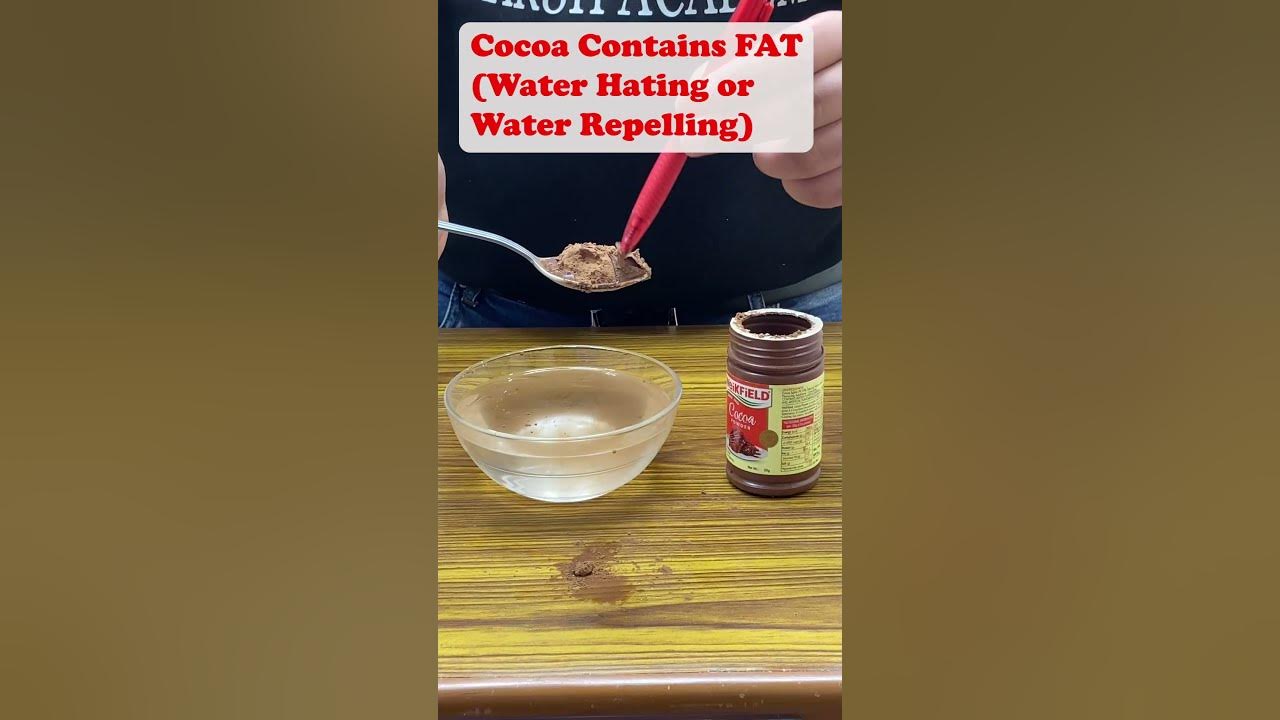 Cocoa powder is Hydrophobic chemistry science shorts ytshorts 