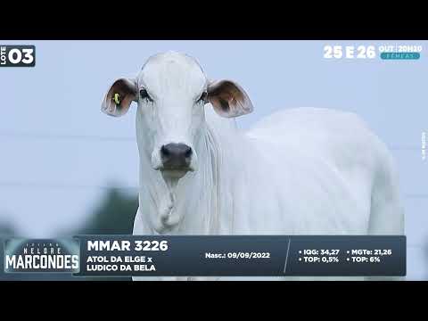 LOTE 03   MMAR 3226