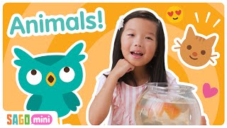 Learn About ANIMALS & Pets 🐹🐶 | Circle Time for Kids | Sago Mini Social & Emotional Learning screenshot 5