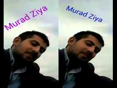 Murad Ziya ad günün mübarek