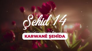 Şehid 14 Karwanê Şehîda Selami Güneş Özlem Ajans