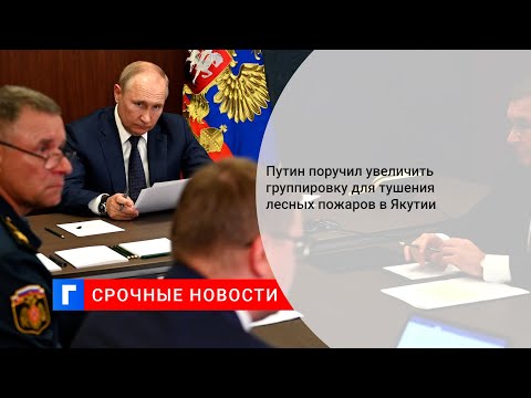 Путин поручил увеличить группировку для тушения лесных пожаров в Якутии