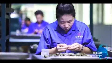 Investment casting wax pattern ,dipping ,shell making processes