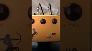 【本家超え？】WARM AUDIO の Centavo（センターボ）effector warmaudio centavo centauro KLON