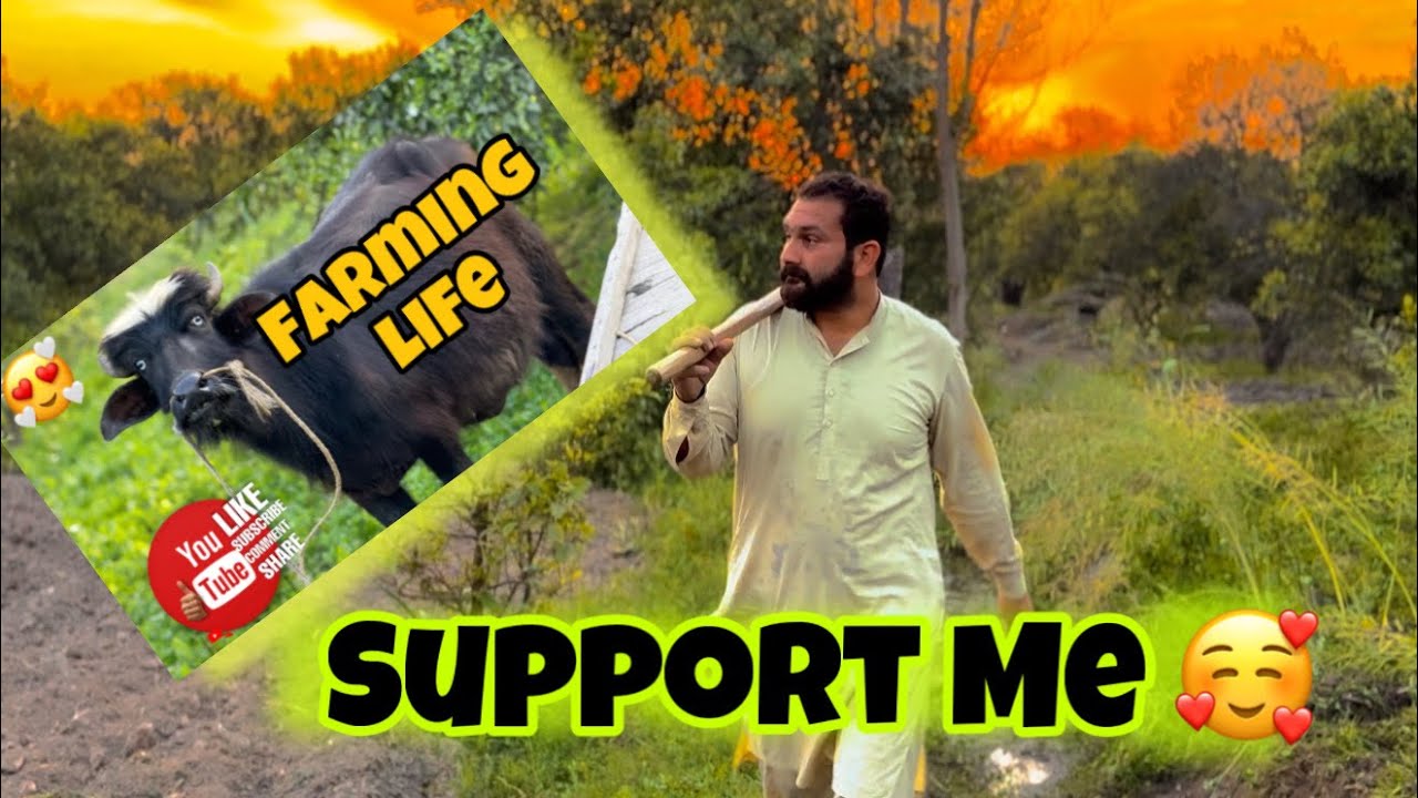 Support Me MY FIRST VLOG ️ ~ MY FIRST VLOG 2025 ️ Life With Umar - YouTube