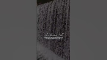 تلاوه خاشعه ،,#عامر السعيدي