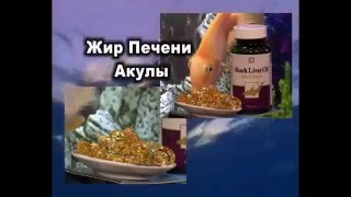 Здоровье.Иммунитет.Жир Печени Акулы Коралловый Клуб