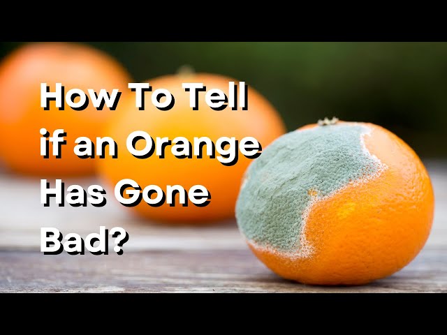 Bad Raspberry Oranges Five Bad Oranges Are Accidentally