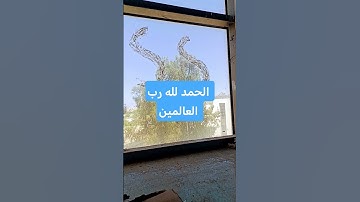 الحمد لله رب العالمين سوره الفاتحه القران الكريم #اكسبلور #ترند #explore #لايك#creatorsearchinsights