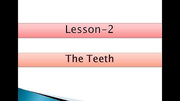 Class 4 | Science Chapter 2 - The Teeth (Part 1)