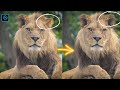 Lay down ear fix using clone stamp tools in photoshop in 2023  photoshop tutorial for beginners