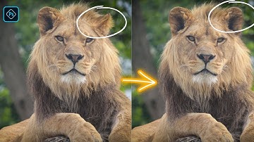 Lay down ear fix using clone stamp tools in photoshop in 2023 | photoshop tutorial for beginners.