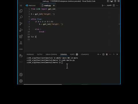 Problem Set 6 CS50 X 2024 Mario  More