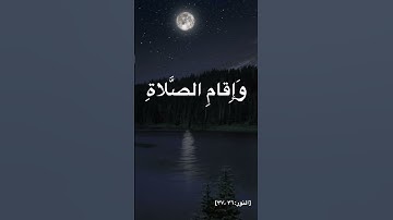 ايات من سورة النور