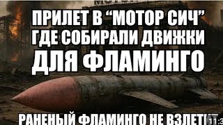 Раненый «Фламинго» не взлетит | Разрушение завода «Мотор Сич»