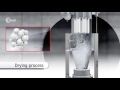 Glatt top spray granulation process by fluidized bed