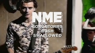 Bush, 'Swallowed' - NME Song Stories