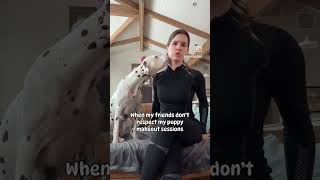 Come on... Am I the only one that lets my dog lick my tonsils?! #shorts #amandacerny #funny #dogs
