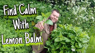 Find Calm With Lemon Balm 🌱 The Health Benefits, Anxiety Tea & History Of This Medicinal Plant by Home Is Where Our Heart Is 22,811 views 11 months ago 10 minutes, 54 seconds