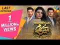 Mere Humdam Last Episode HUM TV Drama 9 July 2019