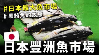 日本豐洲魚市場一天賣多少隻黑鮪魚 ? 二戰時期的黑鮪魚貴不貴 ? 解開日本半世紀的頂尖魚市場的愛恨糾葛 !