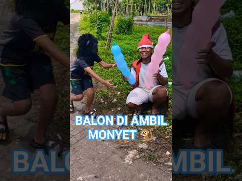 BALON ULIR DIAMBIL MONYET emak nyuruh macan ngejar monyet sampai dapat