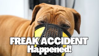 FREAK ACCIDENT