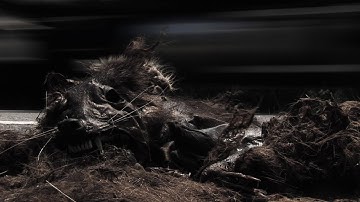 TechnoCalyps, Part II "Preparing for the Singularity" || Full Documentary (2006) by Frank Theys