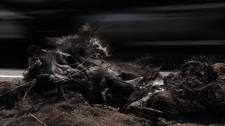 TechnoCalyps, Part II "Preparing for the Singularity" || Full Documentary (2006) by Frank Theys