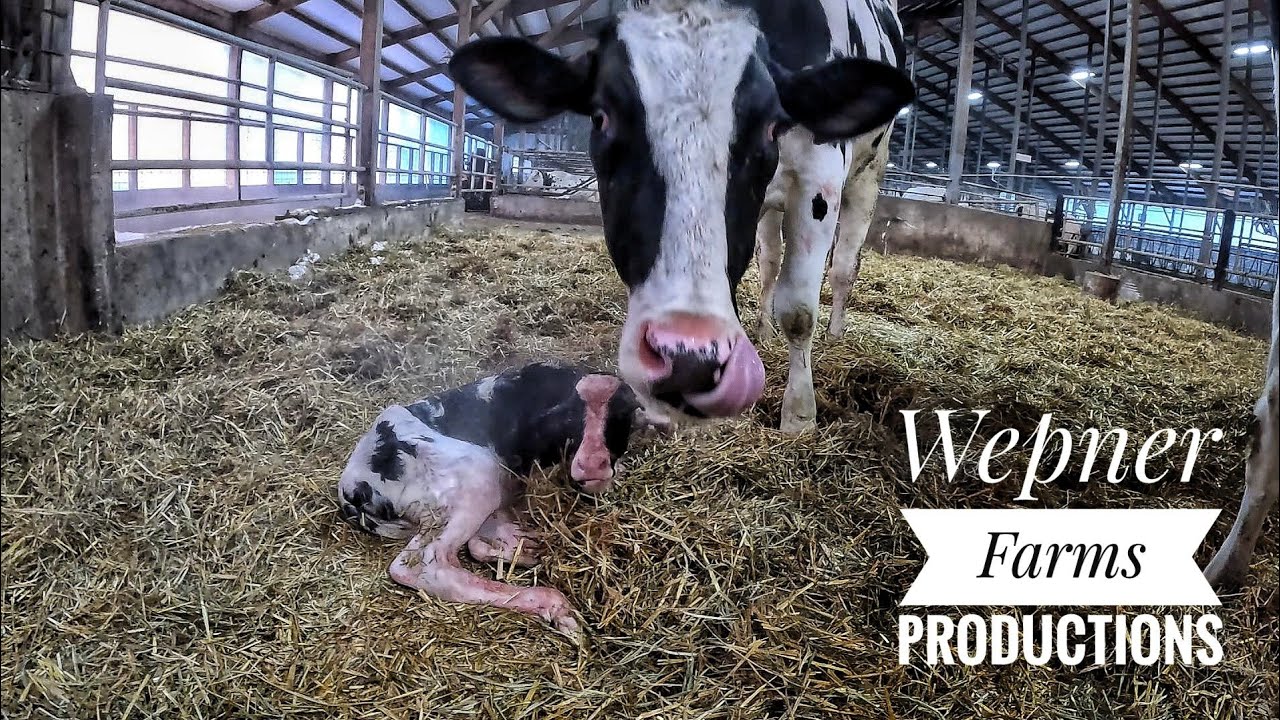 Making The Best Out Of  Sub Zero Weather!