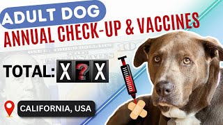 Adult Dog Vaccines | Cost of Annual Vet Visit | Veterinarian Fees by The Wolf and Bears 30 views 5 months ago 3 minutes, 31 seconds