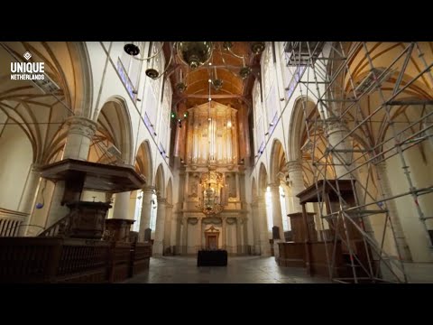 Milo Cruz - No Vibes (Official Video)
