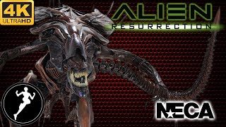 Обзор фигурки Королева Чужих/Alien Queen. (NECA)