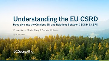 Understanding the EU CSRD - Deep Dive into the Omnibus Bill and Relations Between CSDDD & CSRD